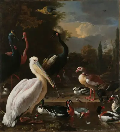 Ein Pelikan und andere Vögel an einem Teich, bekannt als 'Die schwebende Feder' von Melchior d'Hondecoeter