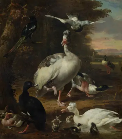 Vögel von Melchior d'Hondecoeter
