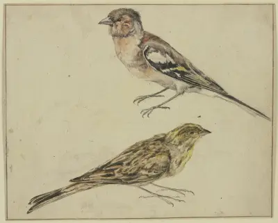 Ein Distelfink und ein Hänfling von Melchior d'Hondecoeter