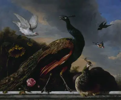Pfauen, männlich und weiblich von Melchior d'Hondecoeter