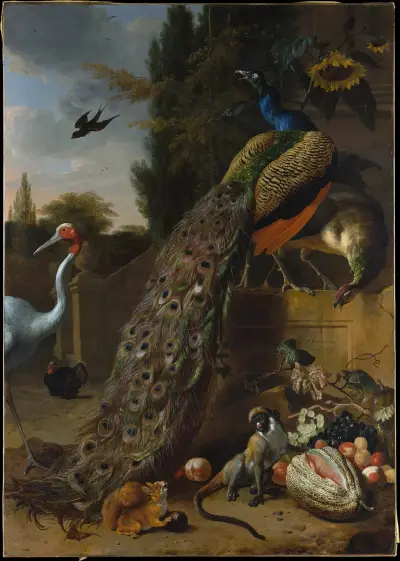 Pfauen von Melchior d'Hondecoeter