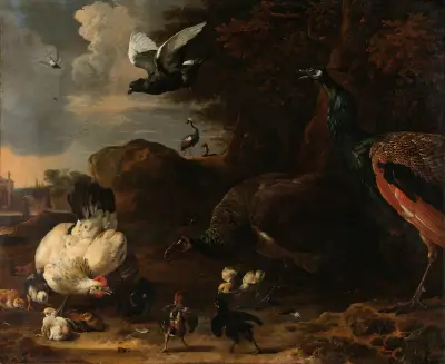 Zwei Pfauen, die eine Henne mit Küken bedrohen, bekannt als „Die bedrohte Henne“ von Melchior d'Hondecoeter