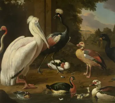 Wasservögel von Melchior d'Hondecoeter