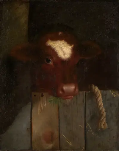 The Family Cow (Calf’s Head) av William Merritt Chase