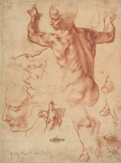 Studier till den libyska sibyllan av Michelangelo