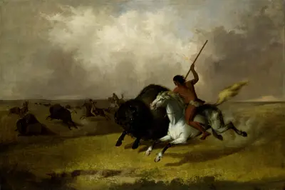 Buffalo Hunt on the Southwestern Prairies von John Mix Stanley