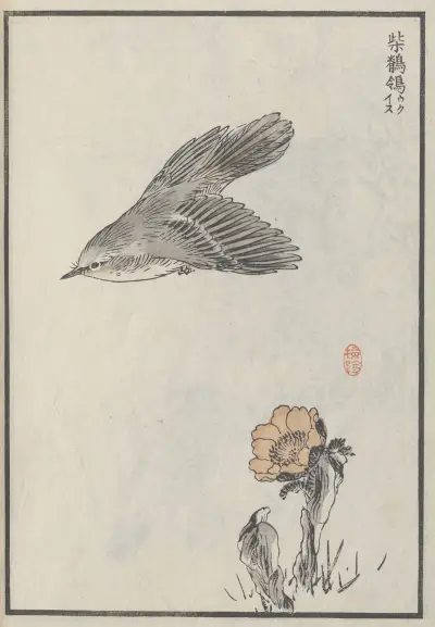 Bairei hyakuchō gafu. Ten Pl.02 av Kōno Bairei