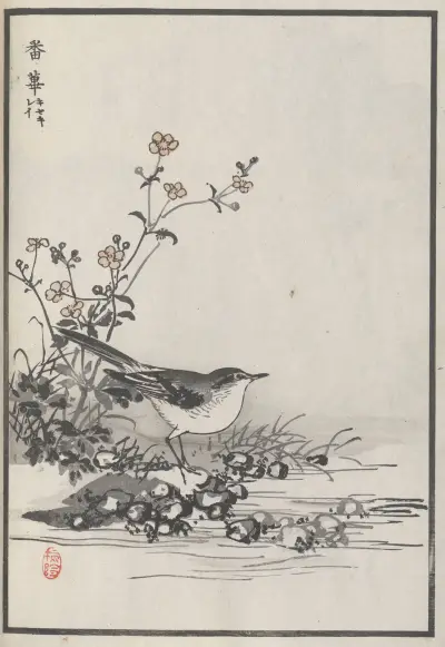 Baireis Album mit hundert Vögeln, Teil 10, Tafel 12 von Kōno Bairei