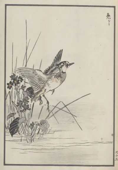 Bairei hyakuchō gafu. Ten Pl.29 von Kōno Bairei