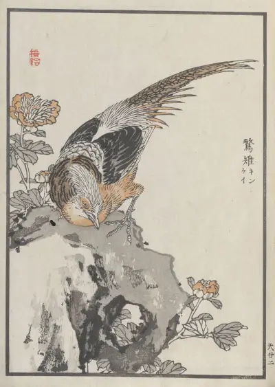 Bairei hyakuchō gafu. Zehn Tafeln 43 von Kōno Bairei