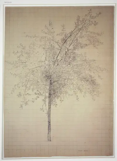 A tree av Odilon Redon