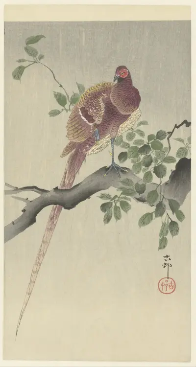 Copper pheasant von Ohara Koson