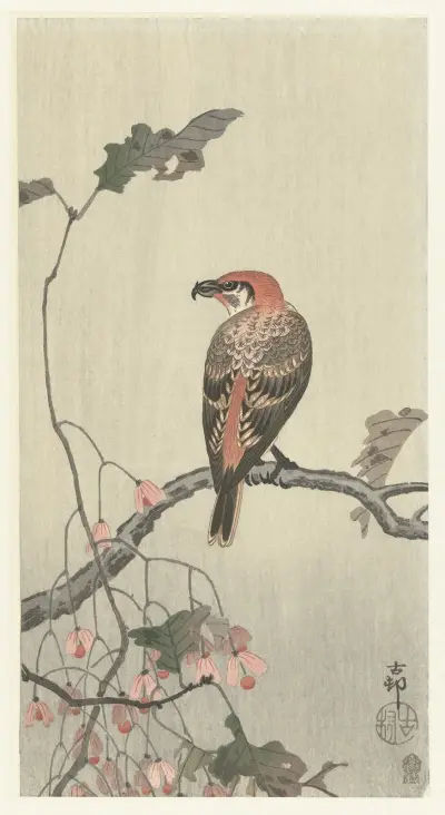 Crossbill on tree branch von Ohara Koson