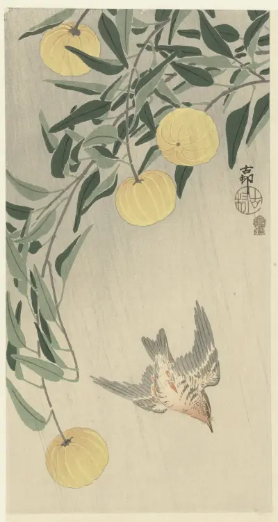 Cuckoo in the rain von Ohara Koson