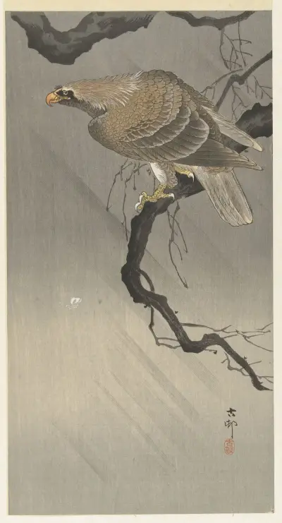 Eagle on branch von Ohara Koson