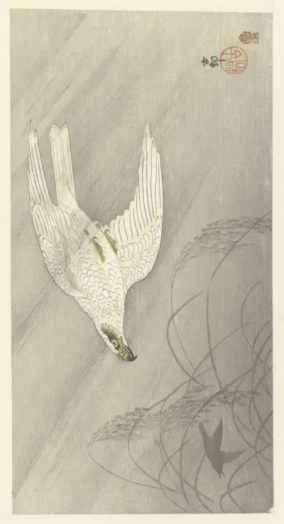 Hunting hawk von Ohara Koson
