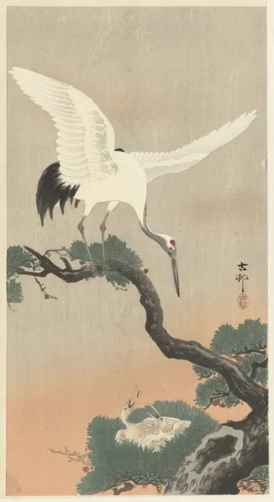 Japanese common crane on branch of pine von Ohara Koson