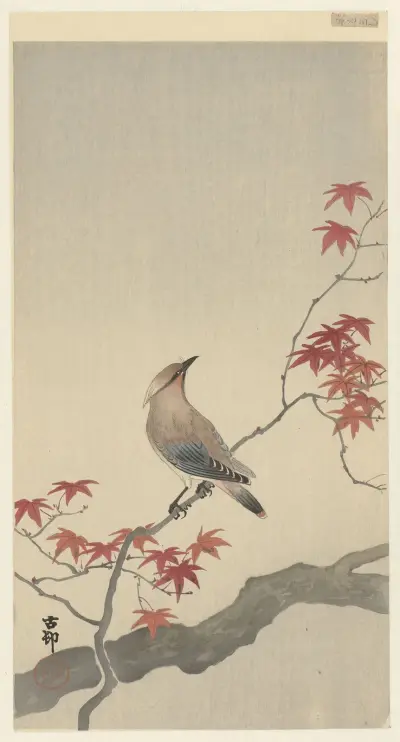 Japanese waxwing on maple von Ohara Koson