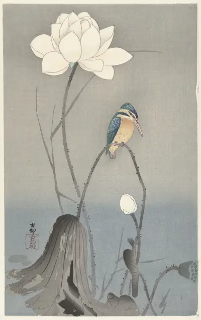 Kingfisher with Lotus Flower av Ohara Koson