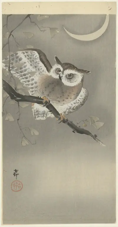 Long-eared owl in ginkgo von Ohara Koson