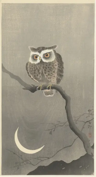 Long-eared owl on bare tree branch von Ohara Koson