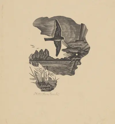 Habicht von Stanisław Ostoja-Chrostowski