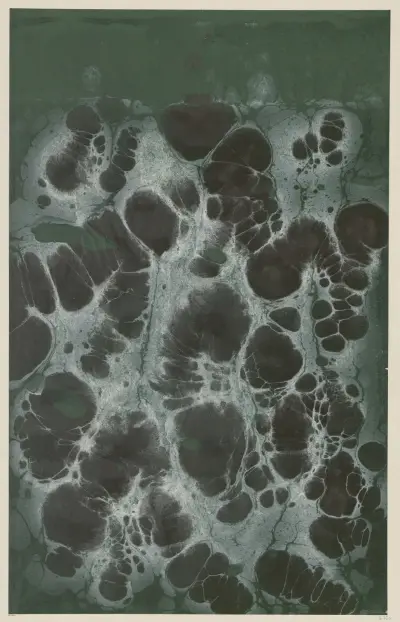Marmorpapier, 1894 – nr 16 av Otto Eckmann