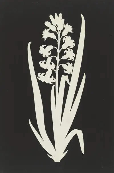 Hyacinth av Philipp Otto Runge