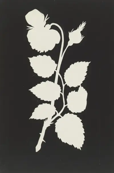 Rose av Philipp Otto Runge