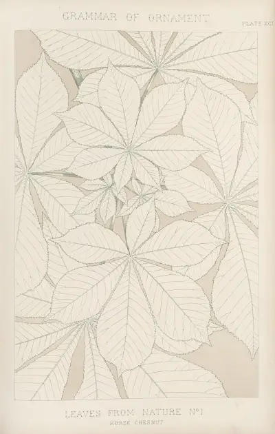 Leaves from Nature No. 1 av Owen Jones