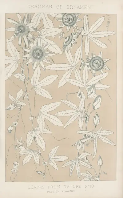 Leaves from Nature No. 10 av Owen Jones