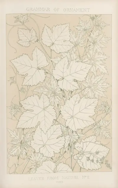 Leaves from Nature No. 2 av Owen Jones