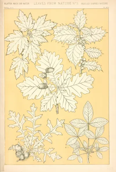 Leaves from Nature No. 5 – nr 1 av Owen Jones