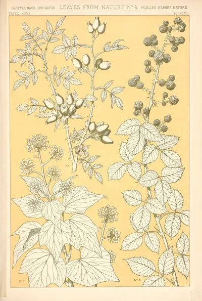 Leaves from Nature No. 6 – nr 1 av Owen Jones