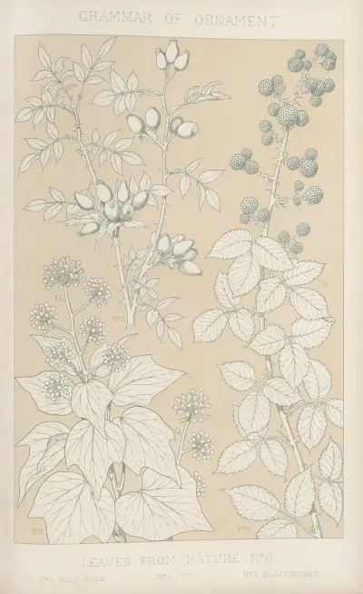 Leaves from Nature No. 6, 1856 av Owen Jones