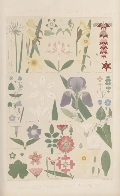 Leaves from Nature No. 8 av Owen Jones