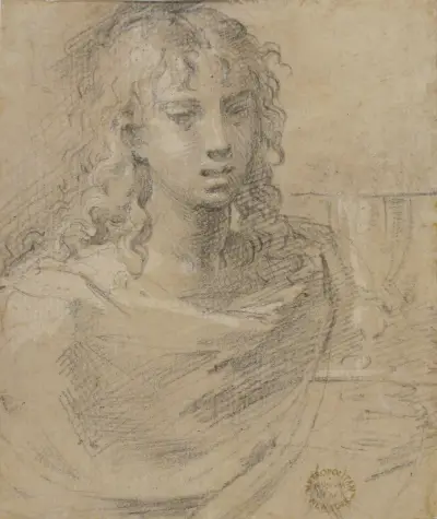 Bust of Saint John the Evangelist von Parmigianino