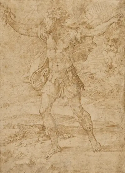 David with the Head of Goliath von Parmigianino