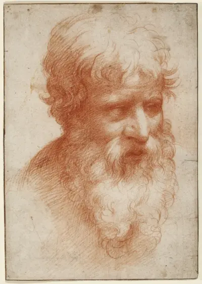 Head of a Bearded Man, looking right von Parmigianino