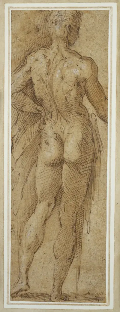 Stehender männlicher Akt in Rückenansicht von Parmigianino