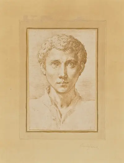 The Head of a Young Man von Parmigianino