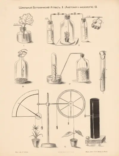 Experiments with oxygen;carbon dioxide av Alexander-Paul Henckel