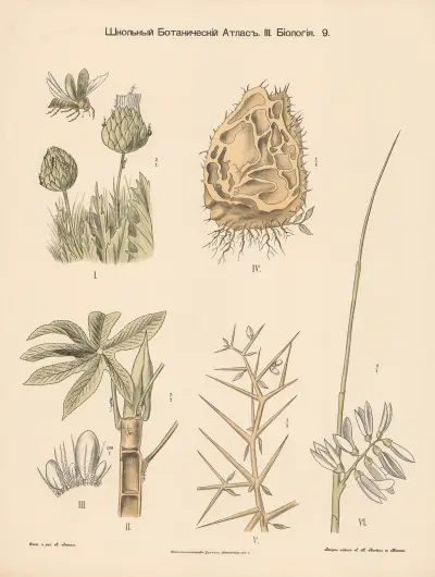 Fertilization av Alexander-Paul Henckel
