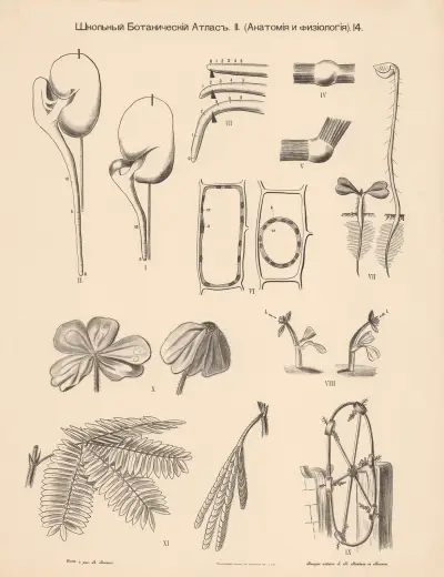 Growth conditions av Alexander-Paul Henckel