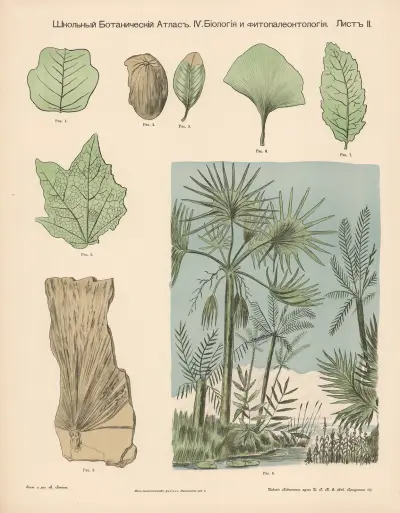 Marsh plants. Fossils. av Alexander-Paul Henckel