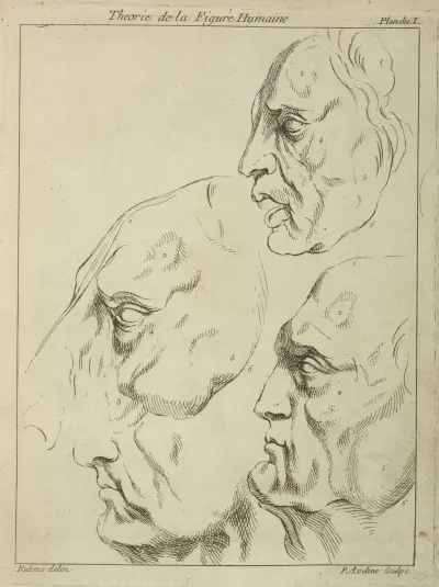Čtyři tváře – tři lidské, jedna koňská – z profilu, Peter Paul Rubens