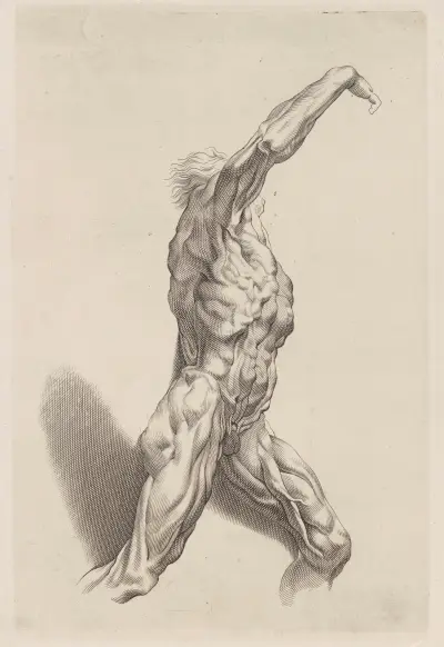 Nude Study – nr 1 av Peter Paul Rubens
