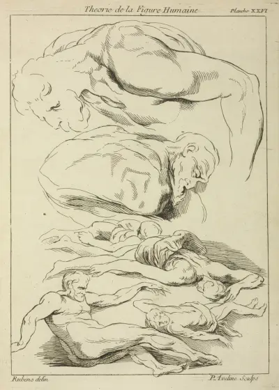 Six studies of male figures in various prone and supine positions av Peter Paul Rubens