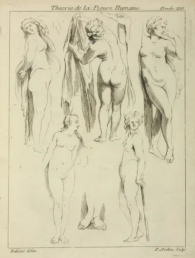 Studies of standing female nudes and a pair of feet av Peter Paul Rubens