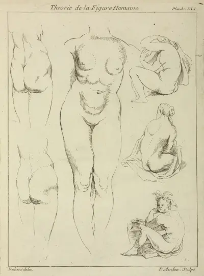 Studies of the female torso, buttocks, and seated figures, dorsal view av Peter Paul Rubens